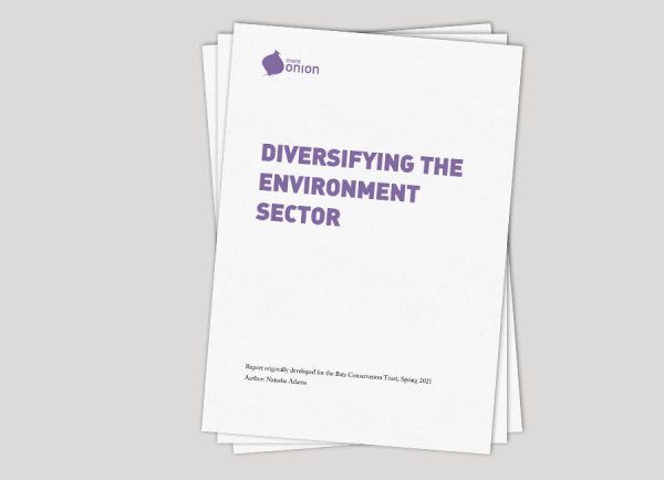 Report cover: diversifying the environment sector